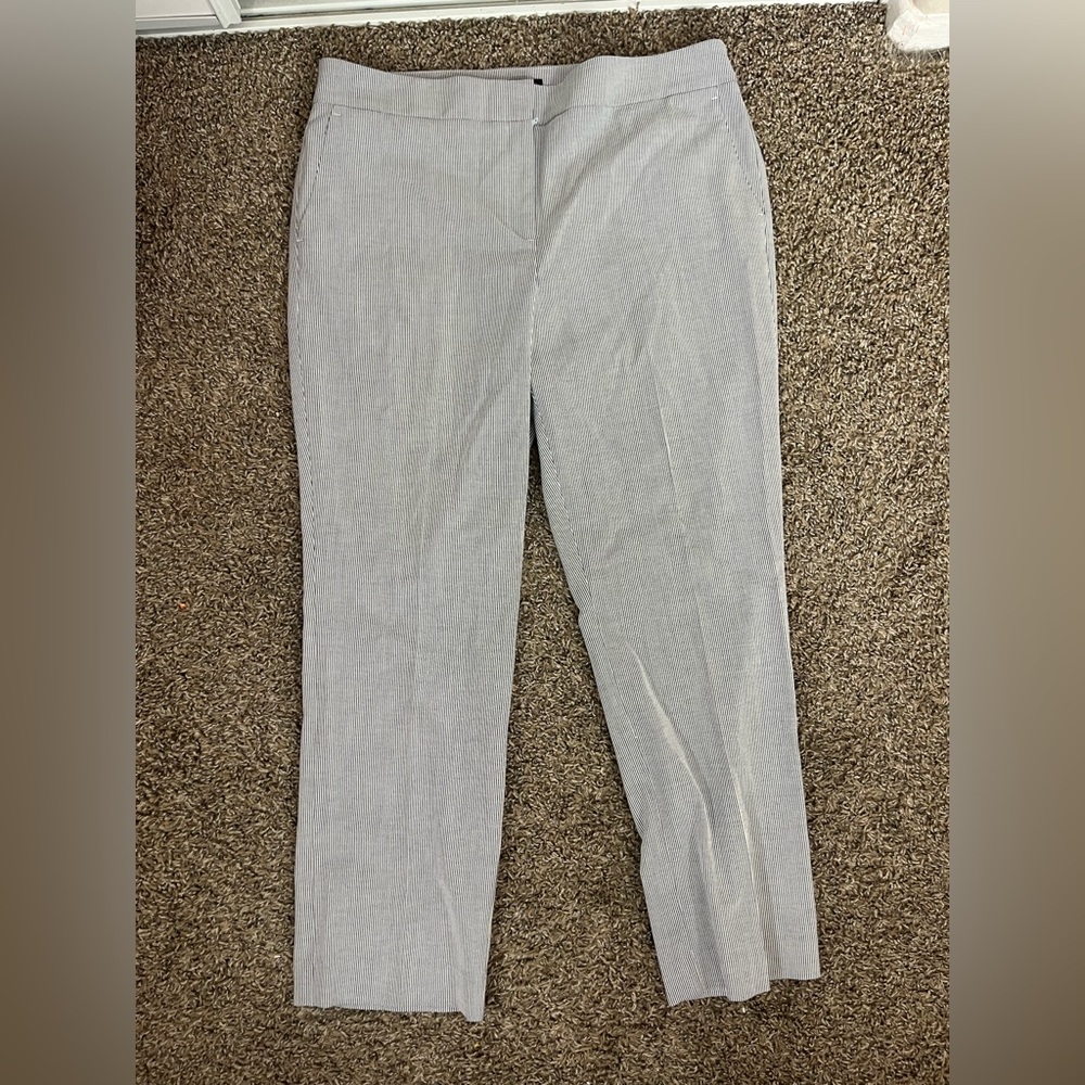 Ann Taylor Factory Women's Size 12 PinStriped Ankle Pants Modern Business Casual